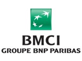 08-bmci